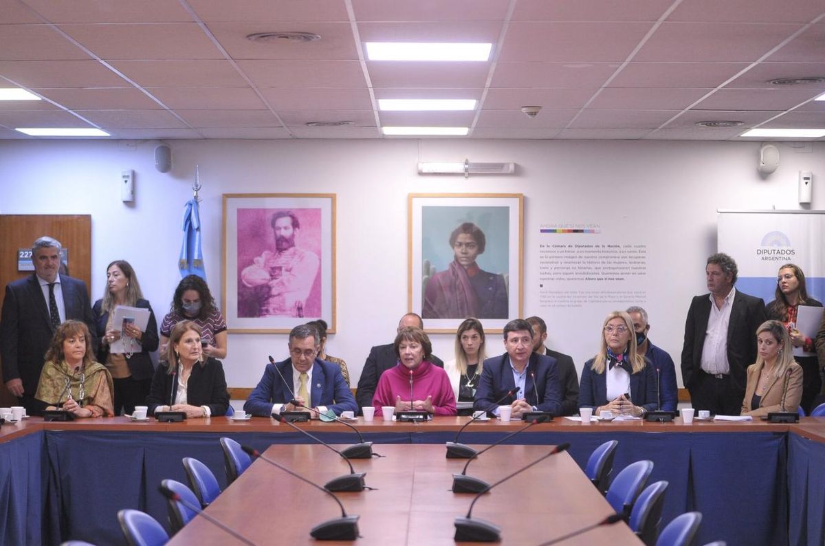 Las comisiones de Educación y Presupuesto analizaron la creación de más Universidades Nacionales