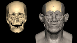 El hallazgo genético en el corazón de Argentina desvela la existencia de una población que evolucionó aislada durante más de 8.500 años. Contrariamente a modelos migratorios previos, este pueblo fantasma mantuvo su continuidad genética hasta el siglo XIX. El hallazgo genético en el corazón de Argentina desvela la existencia de una población que evolucionó aislada durante más de 8.500 años. Contrariamente a modelos migratorios previos, este pueblo fantasma mantuvo su continuidad genética hasta el siglo XIX.
