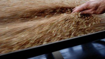 Nera intermedia entre proveedores y usuarios de soluciones financieras. Nera intermedia entre proveedores y usuarios de soluciones financieras.