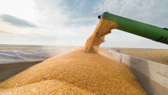 La Provincia reclamó que se acelere la baja. La Provincia reclamó que se acelere la baja.