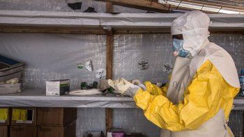 El virus Marburgo se transmite a las personas a través de los murciélagos. El virus Marburgo se transmite a las personas a través de los murciélagos.