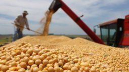 Cómo se perfila la campaña 25/26.&nbsp;