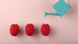 Cerebro: ¿Qué hacer para evitar un ACV? / Imagen de Freepik. Cerebro: ¿Qué hacer para evitar un ACV? / Imagen de Freepik.