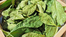 Malestar: Productores pidieron pizarra de precios