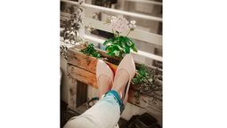 famosa empresa de zapatos colapso mas rapido de lo que crecio