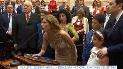 altText(A las apuradas por un corte de luz, juraron los nuevos senadores)}