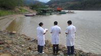 Bolivia: Impacto por lo que encontró un estudio sobre contaminación por mercurio y la salud. Imagen: UMSA.