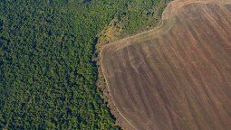altText(Ley europea 'anti deforestación' margina al Mercosur: El agro festeja su aplazo)}