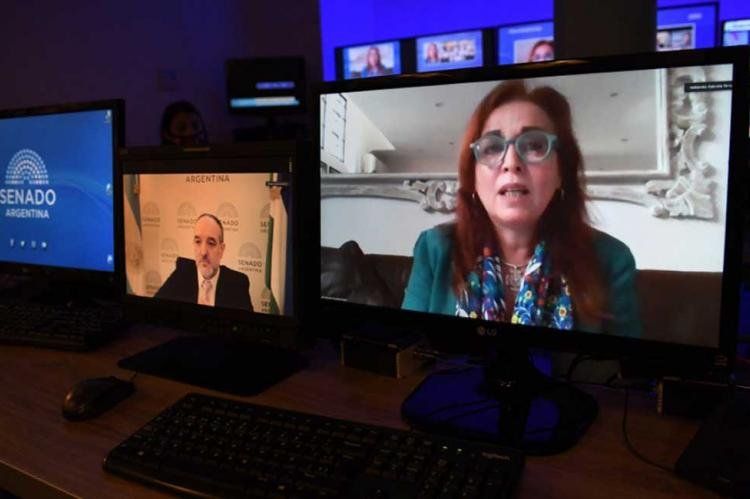 La fiscal Boquín expone ante la Bicameral de Ministerio Público (Foto @SenadoArgentina).