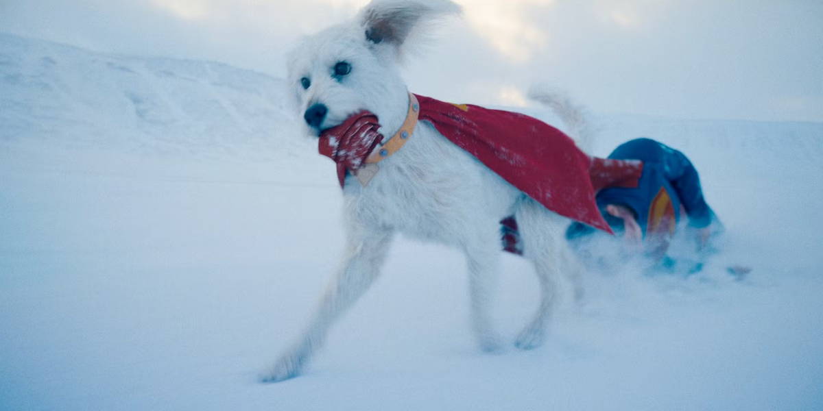 Krypto el Superperro, y uno de los mayores compañeros de Superman, debuta por primera vez en el cine. Queda claro que tienen poderes similares como fuerza y velocidad, pero habrá que ver cuáles otros muestra. Krypto el Superperro, y uno de los mayores compañeros de Superman, debuta por primera vez en el cine. Queda claro que tienen poderes similares como fuerza y velocidad, pero habrá que ver cuáles otros muestra.