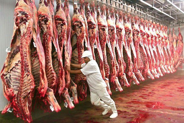 Ganaderìa, Argentina