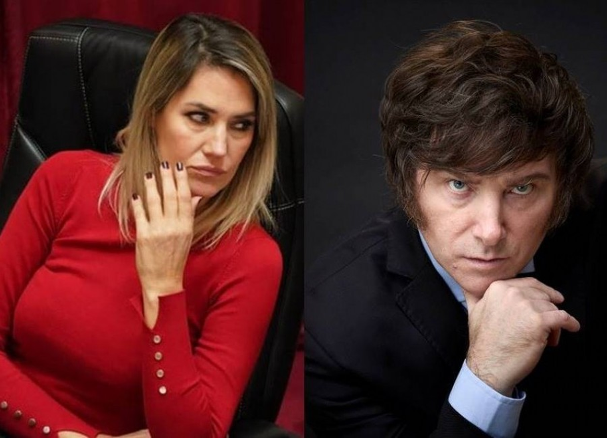 Losada analizó los 100 días de presidencia de Milei. Losada analizó los 100 días de presidencia de Milei. 