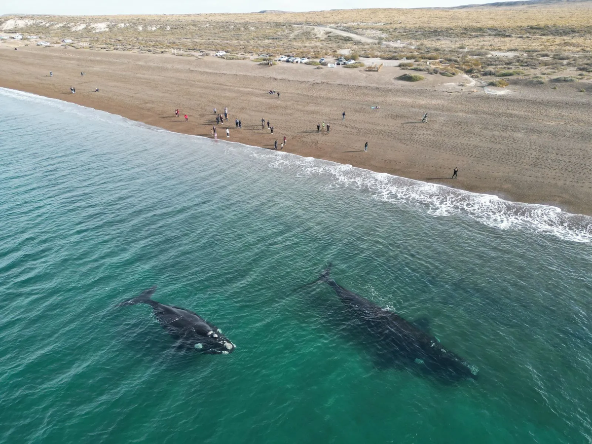 Foto: @maxijonas. Foto: @maxijonas.