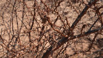 ¿'Chernobyl salteño'? La Justicia inspeccionó el pozo de Lomas de Olmedo por fluidos y gases