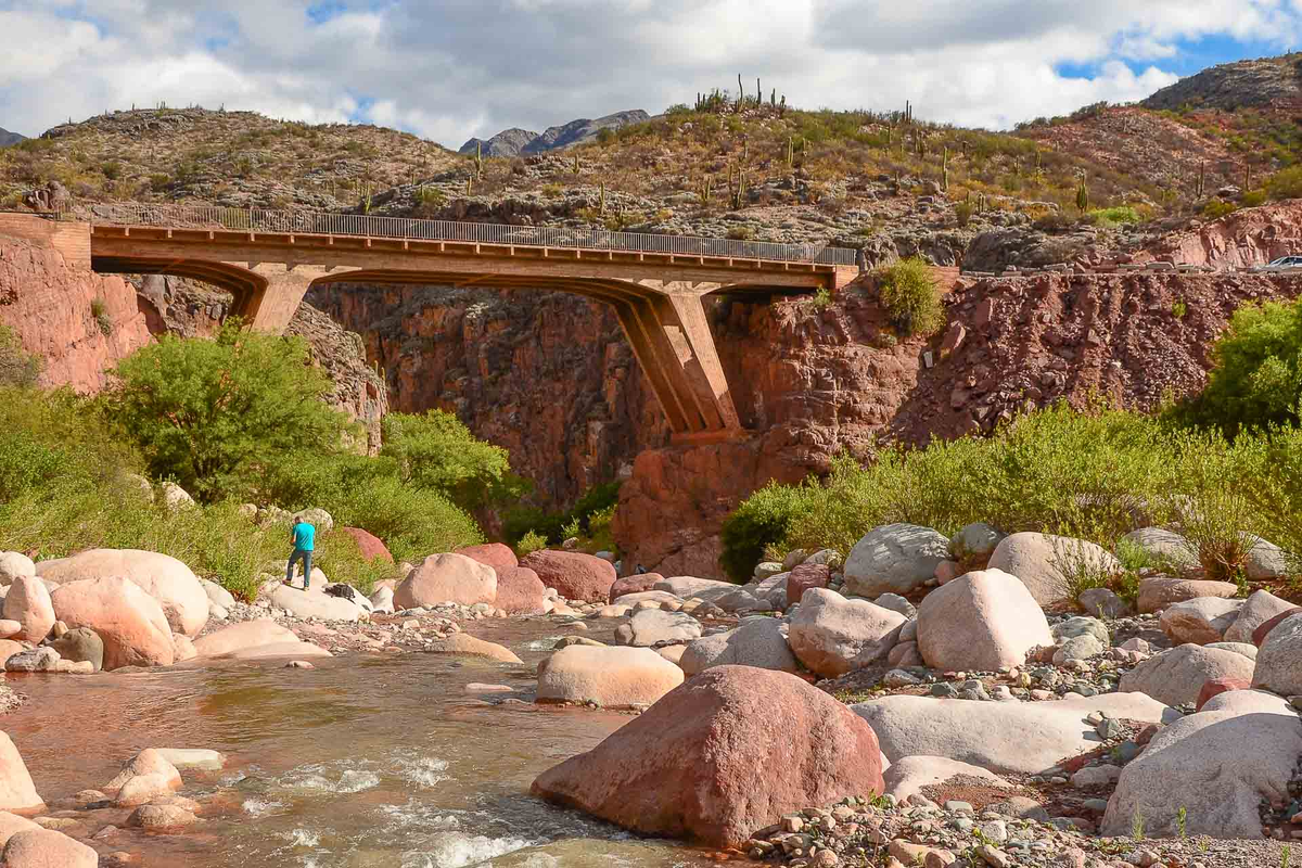 Foto: La Ruta Natural. Foto: La Ruta Natural.