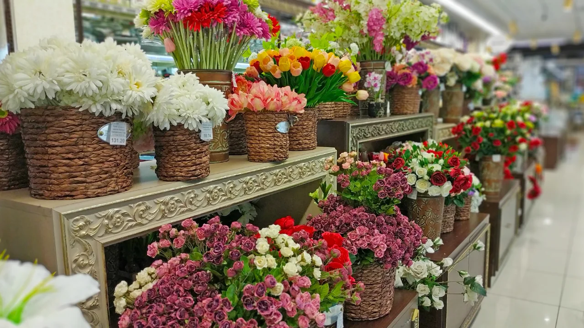 Plantas y flores: perfuman, embellecen y dejan mucha ganancia Plantas y flores: perfuman, embellecen y dejan mucha ganancia