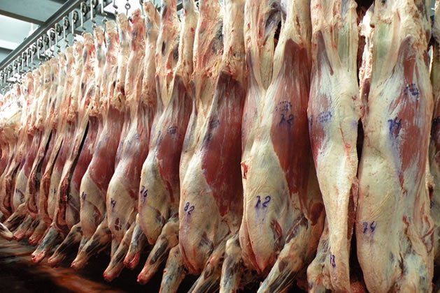 La intervención del mercado exportador de cortes bovinos de 2006, reforzada en 2008 + la sequía 2008/09 generó una liquidación de vientres que colapsó la industria frigorífica.
