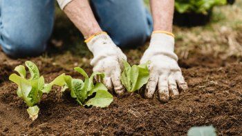 Día de la Tierra. Sin cuidado del ambiente, aumenta la presión inflacionaria. Día de la Tierra. Sin cuidado del ambiente, aumenta la presión inflacionaria.