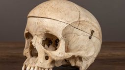 altText(El oscuro secreto de Oxford: Ritual macabro con un cáliz de cráneo humano)}