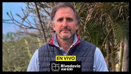 altText(Diputada Marcela Pagano amplió denuncia penal contra el senador Benegas Lynch)}