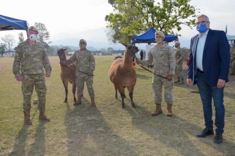 Tecnología de punta: el gobierno refuerza su ejército con 20 llamas para carga y estallaron las redes