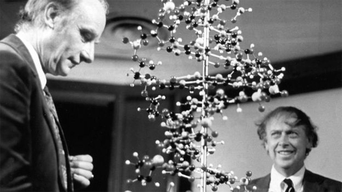 El científico Francis Crick cometió un error que derivó en la creación de la doble hélice de ADN que descifró el código de la vida. El científico Francis Crick cometió un error que derivó en la creación de la doble hélice de ADN que descifró el código de la vida.
