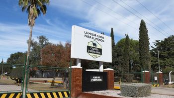 Otro frigorífico, en crisis: Suspensiones en Carnes Pampeanas para evitar despidos