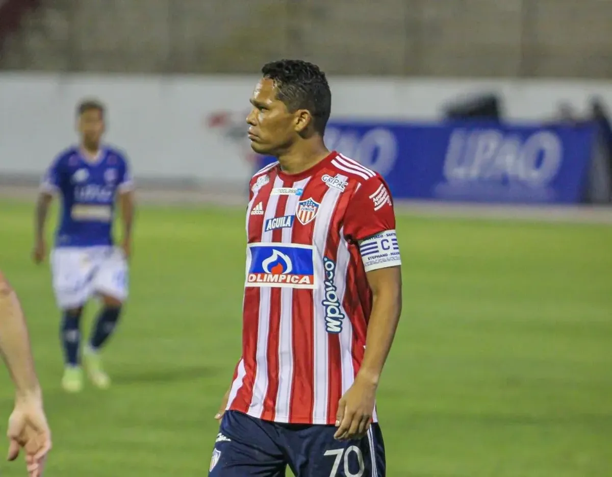 bacca.webp
