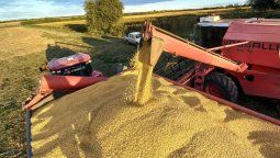 La ASA se quejó de la ayuda financiera de Estados Unidos a Argentina y pidió compromiso con el agro estadounidense.