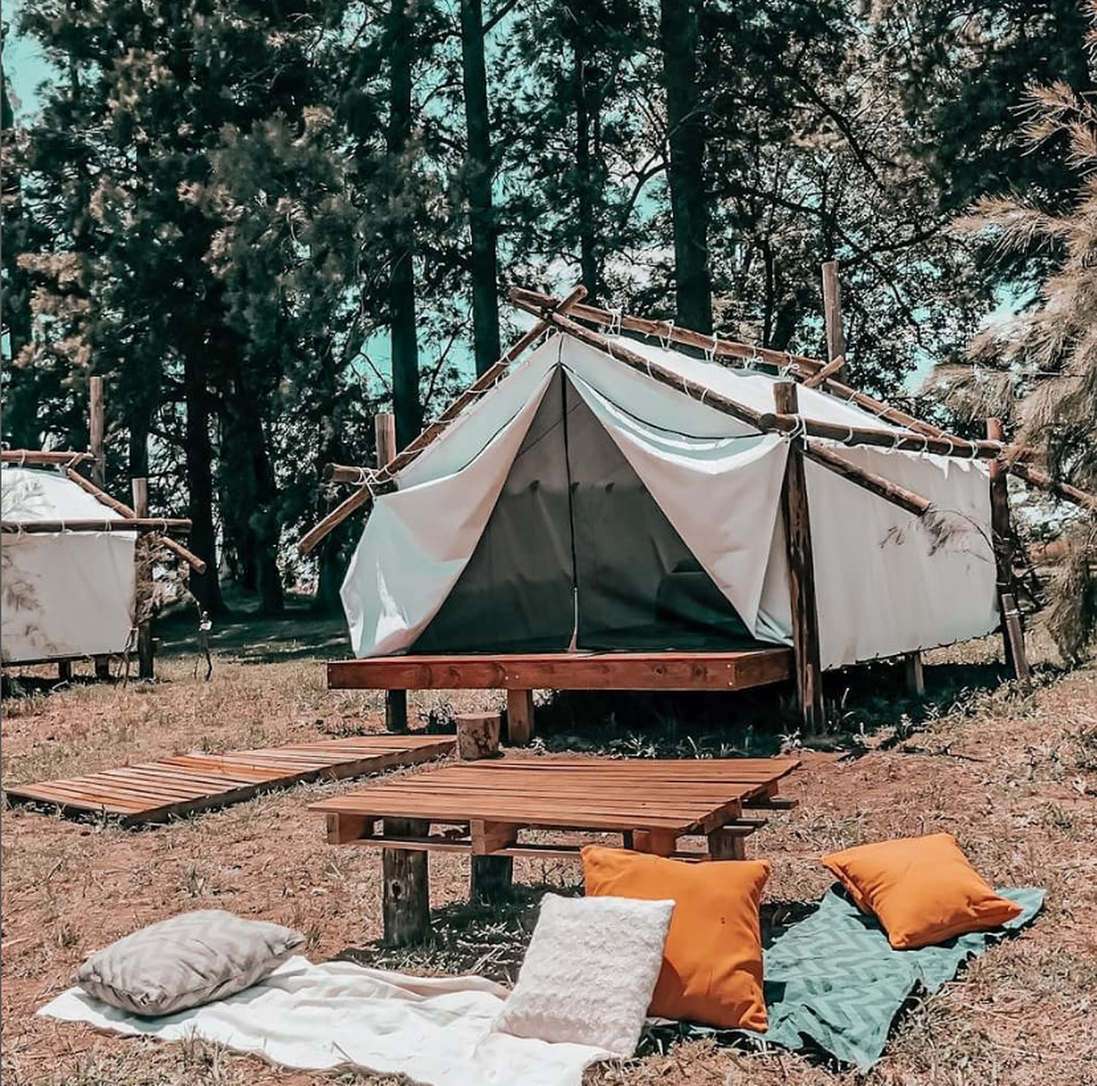 Un buen plan para disfrutar del contacto con la naturaleza.