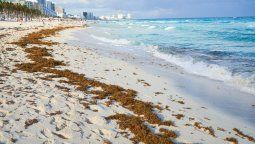 El enemigo silencioso que amenaza al Caribe El enemigo silencioso que amenaza al Caribe