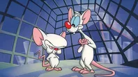 Pinky y Cerebro. Pinky y Cerebro.