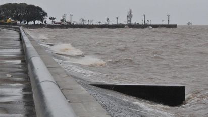Alerta en los ríos del mundo: Grave hallazgo incluye al Río de la Plata