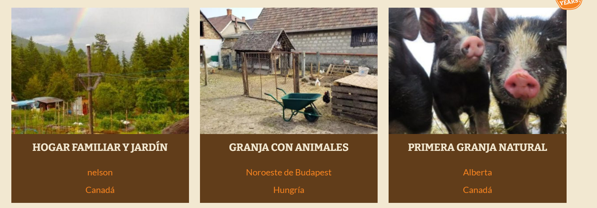 La página detalla los diferentes trabajos en distintos países.