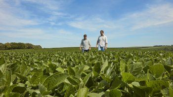 BASF concluyó con la adquisición de AgBiTech y amplía su portafolio de control biológico