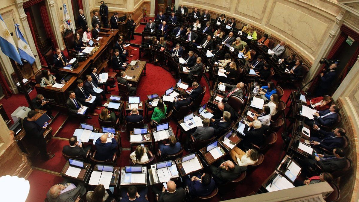 El Senado de la Nación definirá la Ley de Bases con la oposición en la calle. El Senado de la Nación definirá la Ley de Bases con la oposición en la calle.