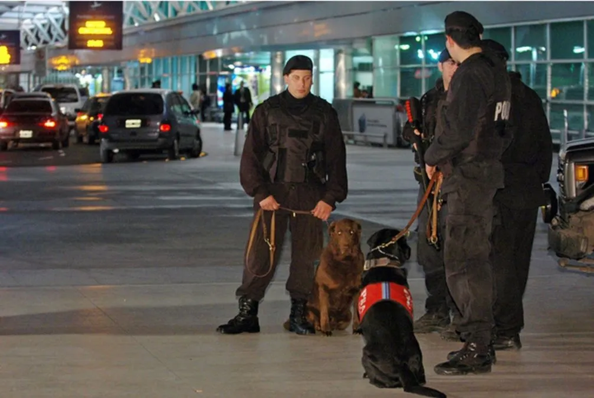 La PSA a la búsqueda de los contratos del amigo de Manuel Adorni en la TV Pública. La PSA a la búsqueda de los contratos del amigo de Manuel Adorni en la TV Pública.