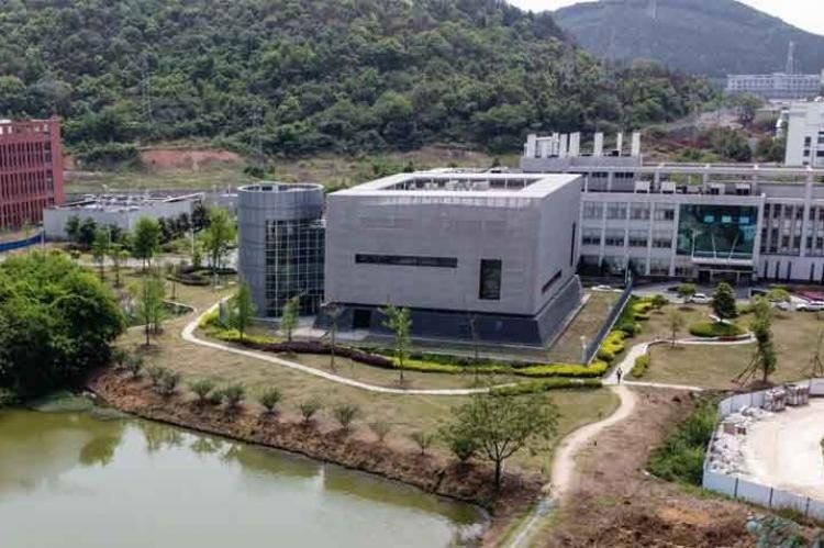 El Laboratorio Nacional de Bioseguridad de Wuhan contribuyó a la secuenciación del genoma y la identificación del virus en enero, y su base de datos, coordinada por el virólogo Shi Zhengli, ayudó a vincular rápidamente el nuevo coronavirus a un virus murc