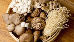 Este alimento protege tu memoria y cerebrio a medida que envejeces.