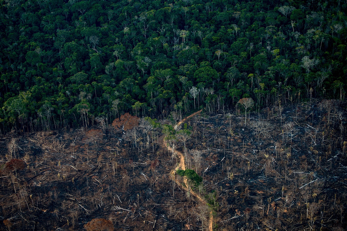Amazonia, con Jair Bolsonaro fue un desastre.