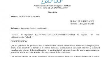 Muy llamativas designaciones de la Afip