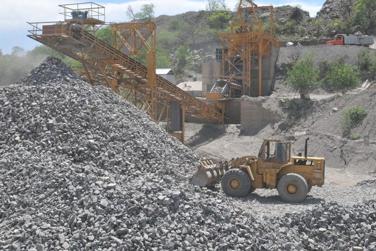 Minería: Los nombres (e intereses) que sobrevuelan el cargo que dejó Flavia Royón