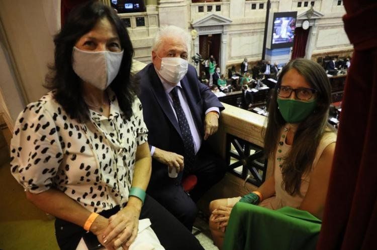 Vilma Ibarra en Diputados