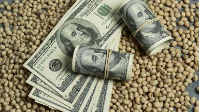 Cosecha gruesa y dólar: Qué pronósticos lanzan desde la City