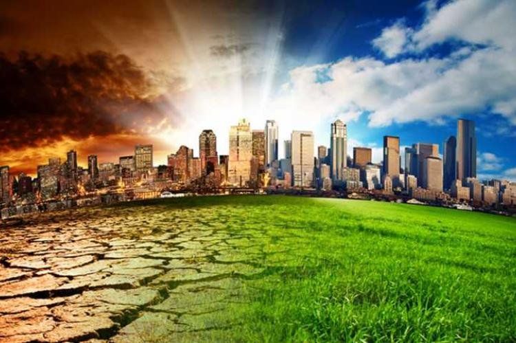 Cambio climático. /Foto:kwest/Shutterstock.com